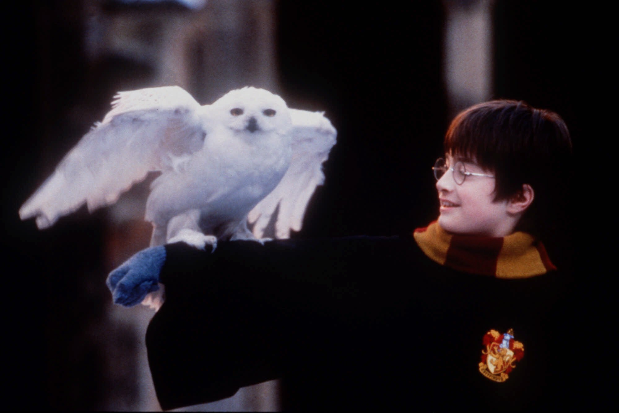 Harry Potter, metloboj i puno volje…